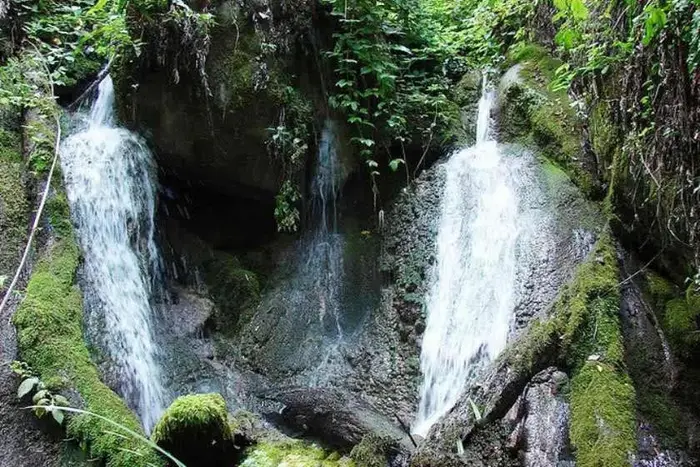 آب خروشان آبشار نومل با سنگ هیای خزه بسته در اطرافش 4554