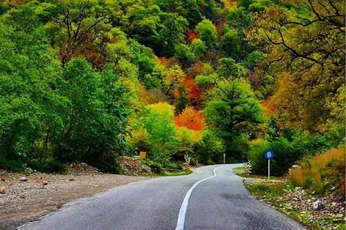 تغییر رنگ درختان جنگل توسکستان 11545