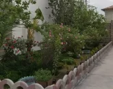 محوطه سنگ فرش شده و باغچه سرسبز و گل ها رنگی حیاط