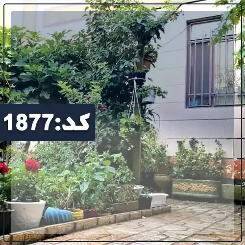 نما سنگی و محوطه سنگ فرش شده و باغچه سرسبز محوطه خانه روستایی در گنبدکاووس