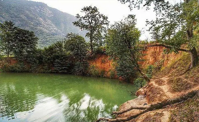 چشمه سبز رنگ روستای پاقلعه ودرختچه های اطراف روستای پاقلعه 15486748
