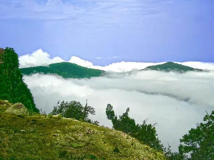 کوه های مه آلود سرسبز در روستای پاقلعه 21465848