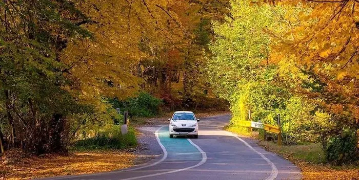 رانندگی در جاده النگدره در فصل پاییز 498745