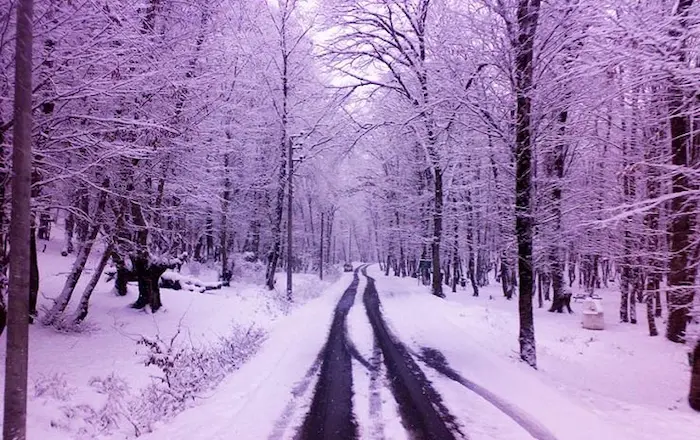پارک جنگلی النگدره برفی در زمستان 86974