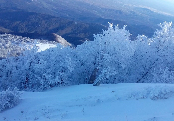 فصل زمستان در روستای درازنو 1125636985