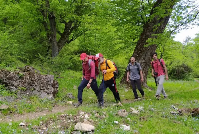 کوهنوردی در جنگلهای زیارت 01405140147