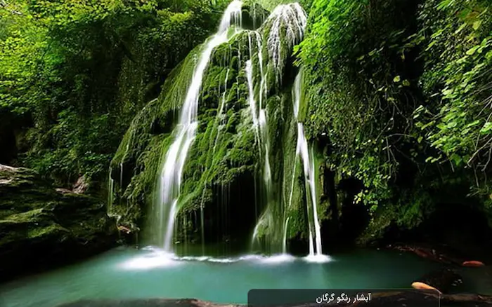 آبشار رنگوی سرسبز و خروشان در دل خزه ها و گلسنگ ها در گلستان 89749/87