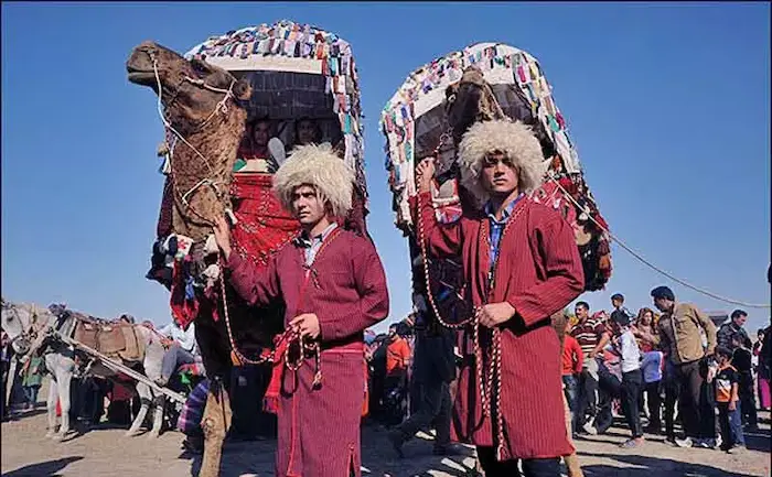 لباس های محلی قرمز دو مرد ترکمن و شتر های آنان در کنارشان در گلستان 4787448 