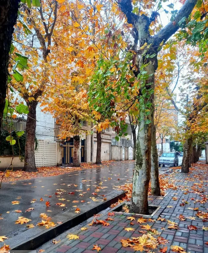 خیابان های باران خورده فصل پاییز و مزایای خرید خانه در گرگان پارس و سوال اینکه چرا در گرگان ملک بخریم؟ 48785487678