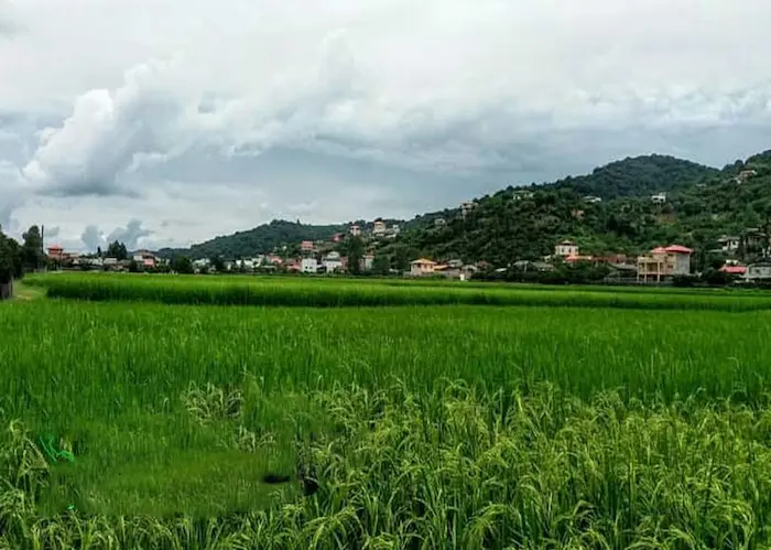 چمنزار های سرسبز در کنار خانه ها و کوه های سرسبز روستای مزنگ بندرگز در زیر آسمان ابری 4873643876