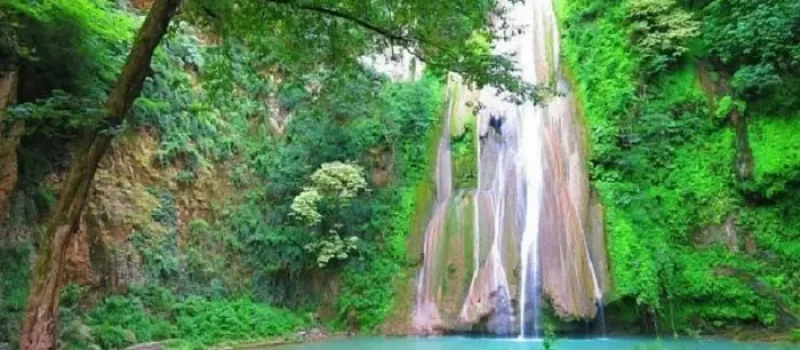 کمپینگ در اطراف درختان سرسبز و آبشار خروشان در مینودشت 514534152
