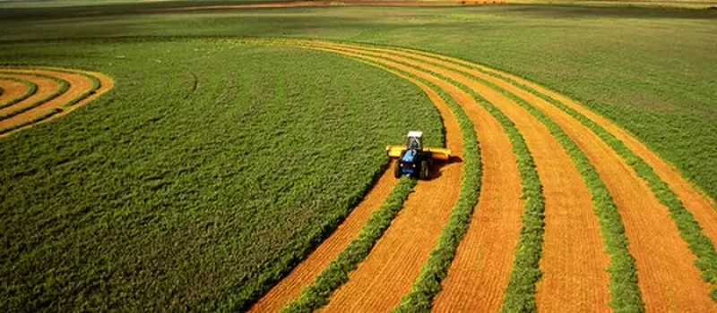 برداشت محصولات زمین کشاورزی6563523